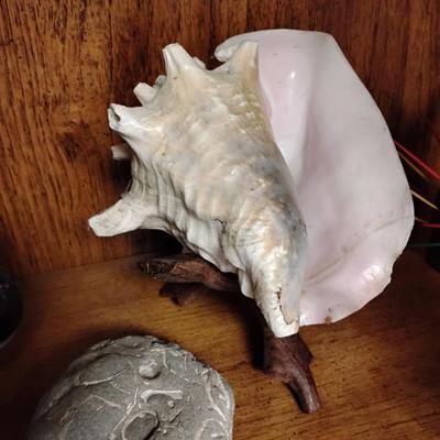 Sale Photo Thumbnail #86