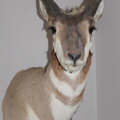 Sale Photo Thumbnail #38