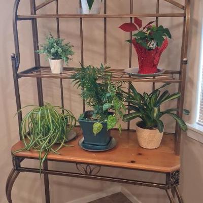 Sale Photo Thumbnail #137