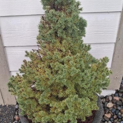 Sale Photo Thumbnail #49