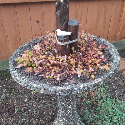 Sale Photo Thumbnail #52