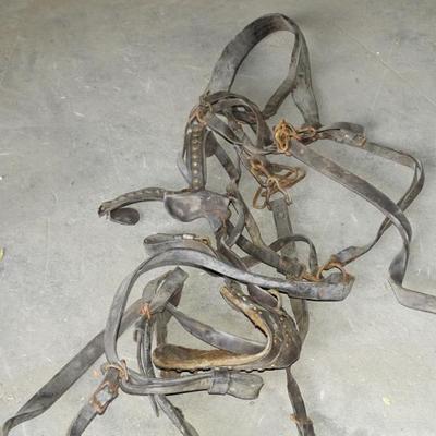 Sale Photo Thumbnail #560