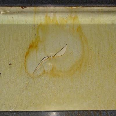 Sale Photo Thumbnail #601