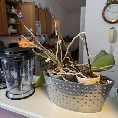 Sale Photo Thumbnail #14