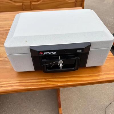 Sentry 1100