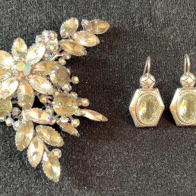 Beautiful Delizza And Elster Pin.  With Earrings