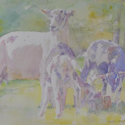 Sale Photo Thumbnail #143