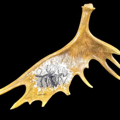 Sale Photo Thumbnail #17