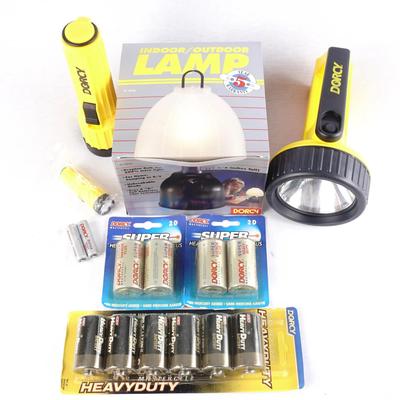 Hurricane Preparation Lot – Flashlights & Heavy-Duty Batteries