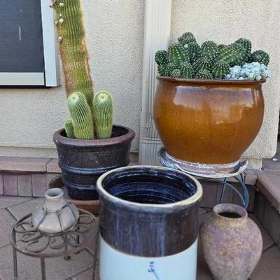 Cacti & Pots