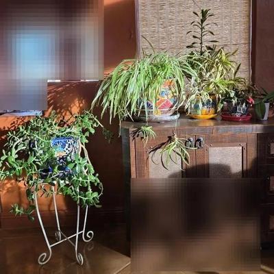 Instant Indoor Garden 