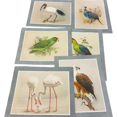 Sale Photo Thumbnail #41