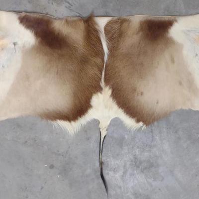 Sale Photo Thumbnail #301