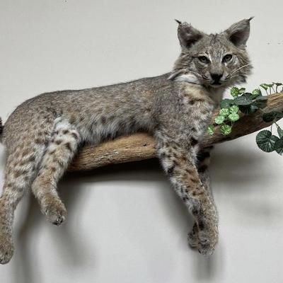 Sale Photo Thumbnail #52