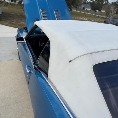 Sale Photo Thumbnail #18