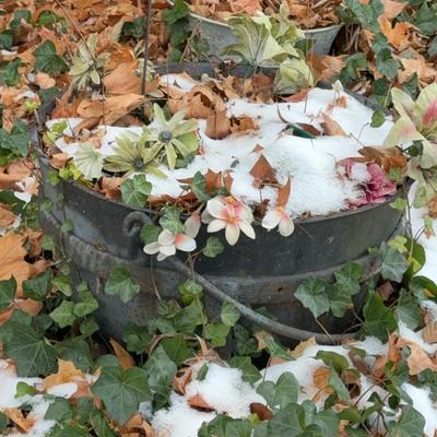 Antique Cast-Iron Metal Cauldron