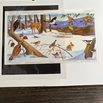 Sale Photo Thumbnail #11