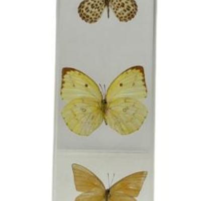 Sale Photo Thumbnail #6