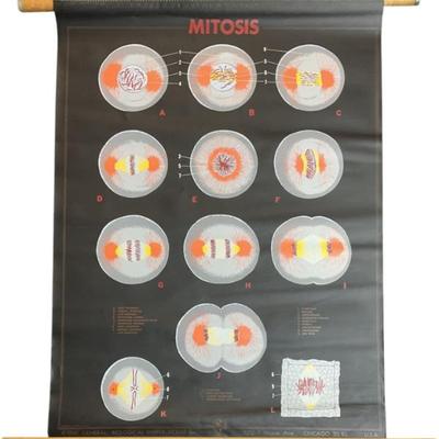 Sale Photo Thumbnail #753