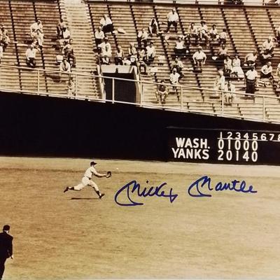 Sale Photo Thumbnail #338