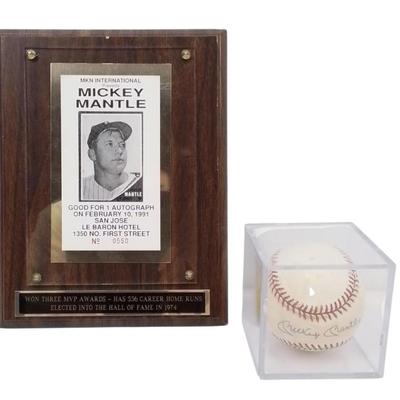 Sale Photo Thumbnail #282