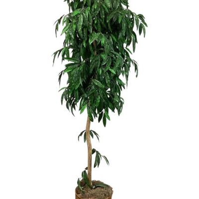 Sale Photo Thumbnail #718