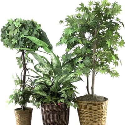 Sale Photo Thumbnail #505