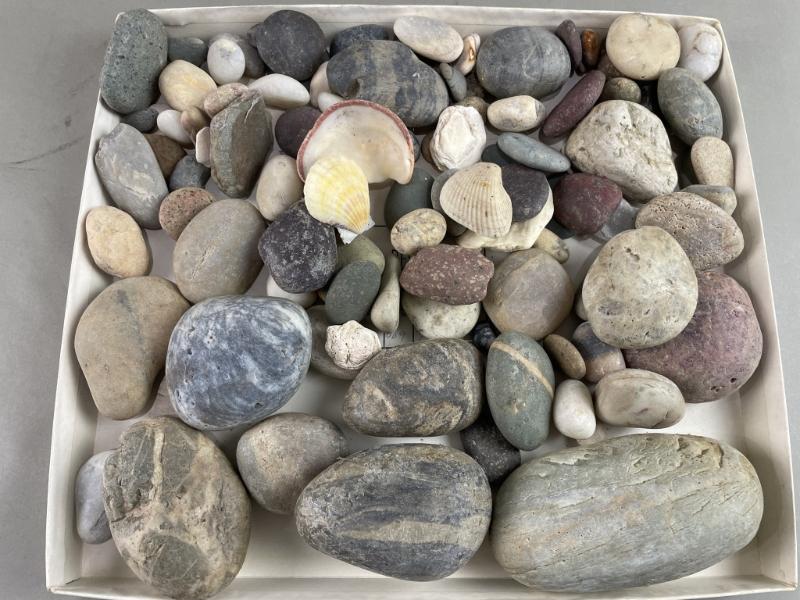 Sale Photo Thumbnail #490