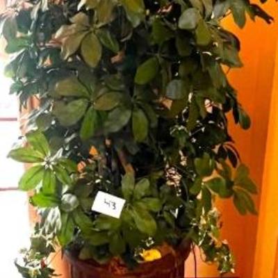 Sale Photo Thumbnail #43