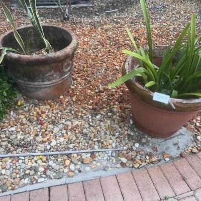 Sale Photo Thumbnail #245