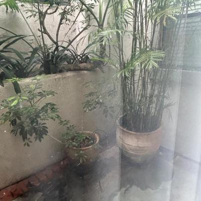 Sale Photo Thumbnail #32