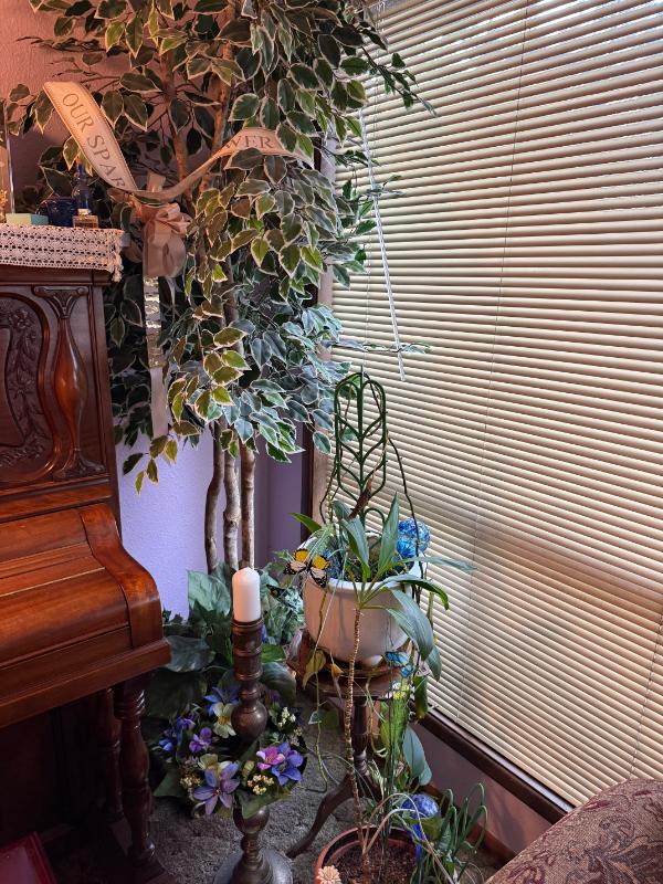 Sale Photo Thumbnail #3