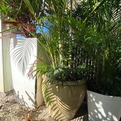 Sale Photo Thumbnail #329