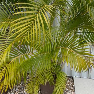 Sale Photo Thumbnail #348