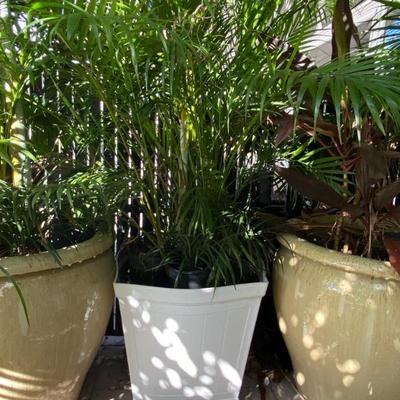 Sale Photo Thumbnail #328