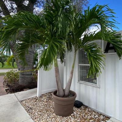 Sale Photo Thumbnail #347