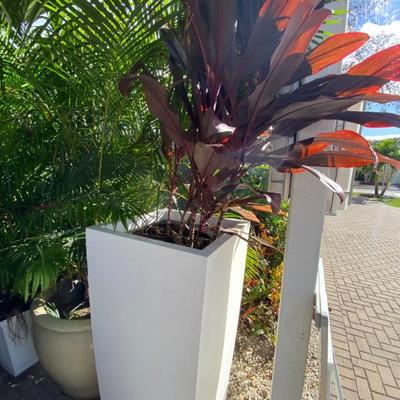 Sale Photo Thumbnail #331