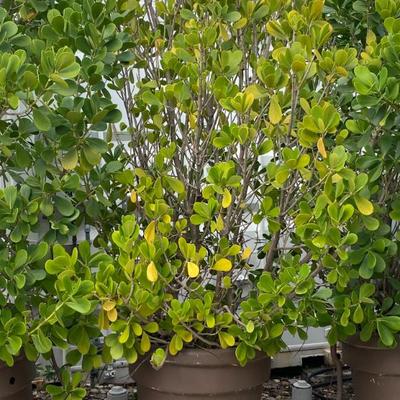 Sale Photo Thumbnail #349