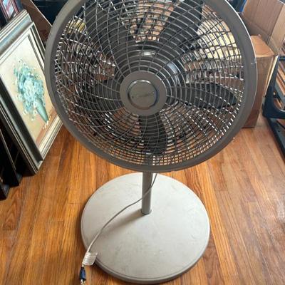 Sale Photo Thumbnail #171