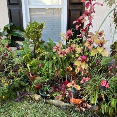 Sale Photo Thumbnail #127