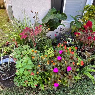 Sale Photo Thumbnail #128