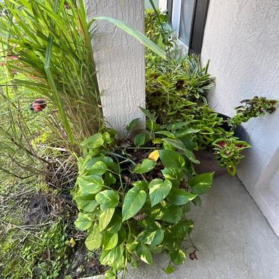 Sale Photo Thumbnail #131