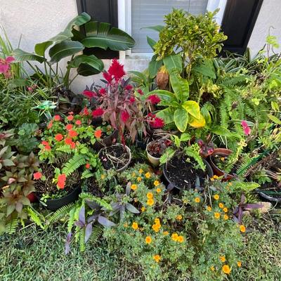 Sale Photo Thumbnail #129