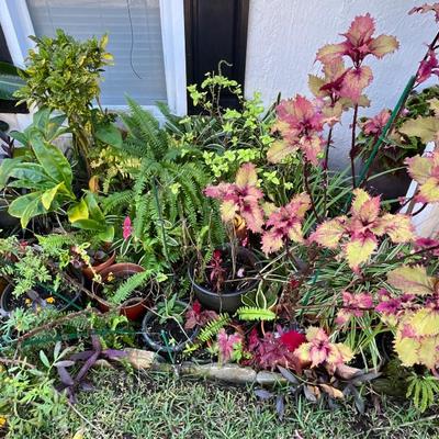 Sale Photo Thumbnail #130