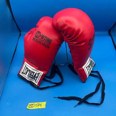 BJ1034 Showtime Championship Boxing Gloves!!!