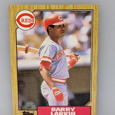 Sale Photo Thumbnail #150