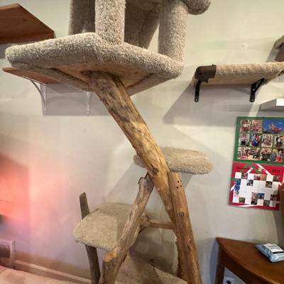 Live wood cat tree
