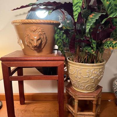 Plant stands pots & a plant