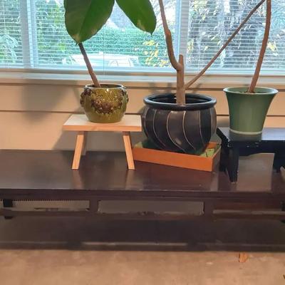 Japanese style low floor table plant pots and small stands