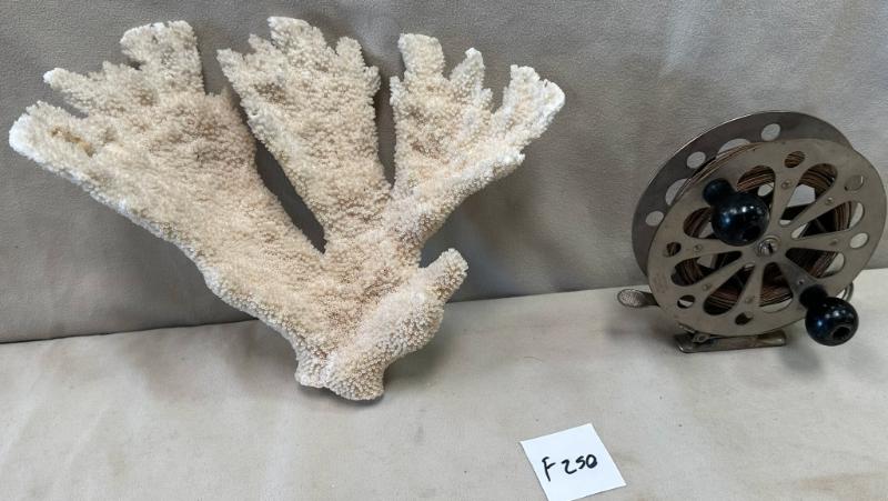 Sale Photo Thumbnail #61